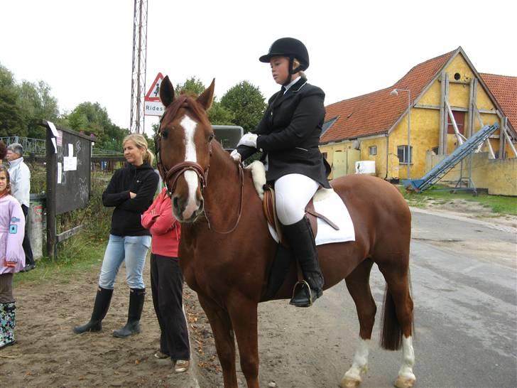 DSP Frederik billede 15