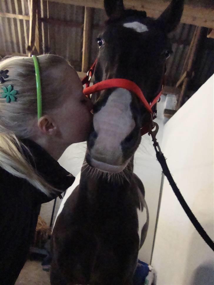 Anden særlig race Peanut<3 - NÅRRRRRRRR <33333333333 billede 15