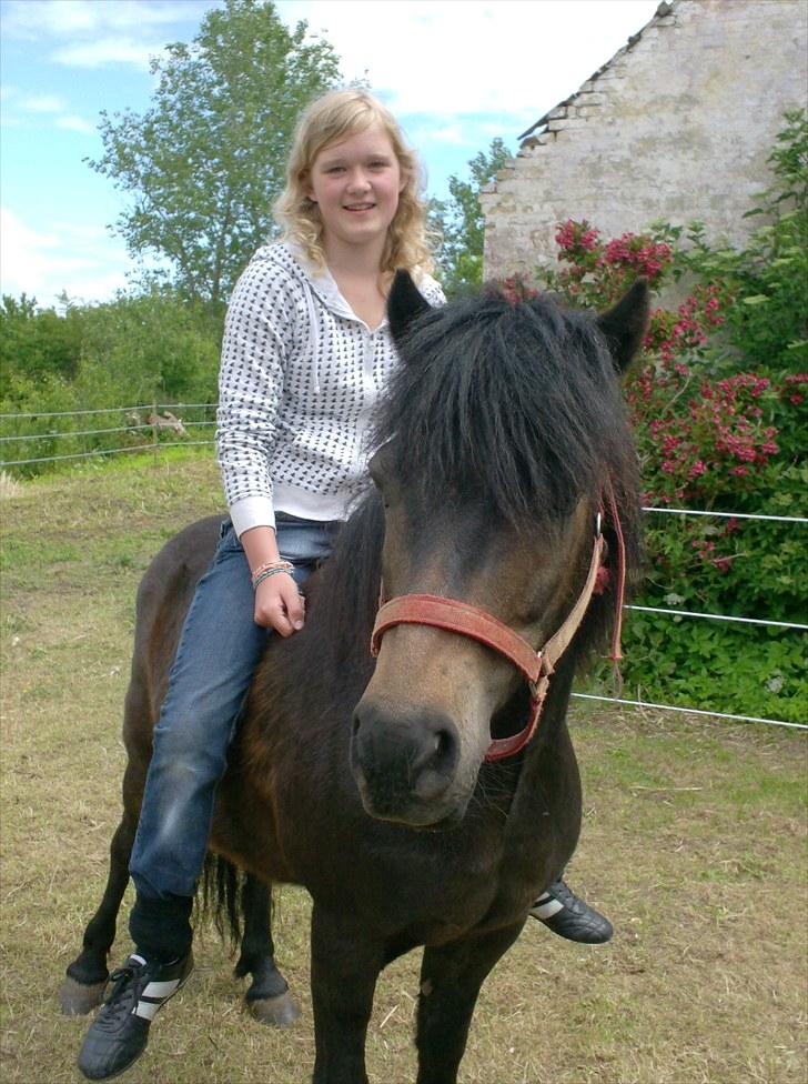 Anden særlig race Ejner solgt  billede 4