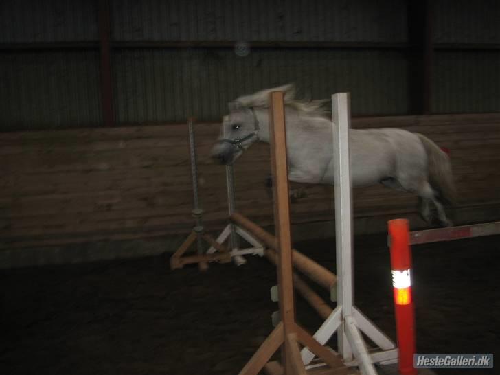 Anden særlig race Nunu - Løsspring billede 4