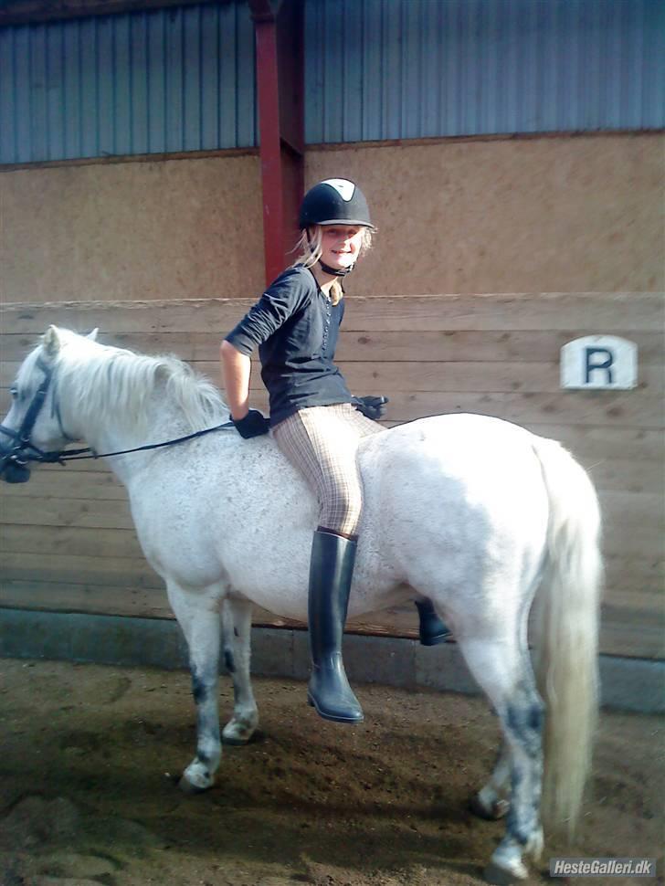 Anden særlig race Nunu - Omvendt ridestil billede 2