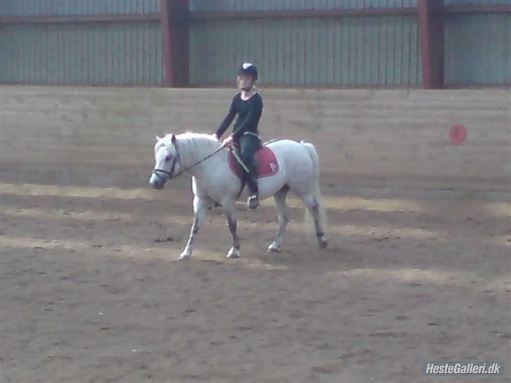 Anden særlig race Nunu - Fremad march billede 8