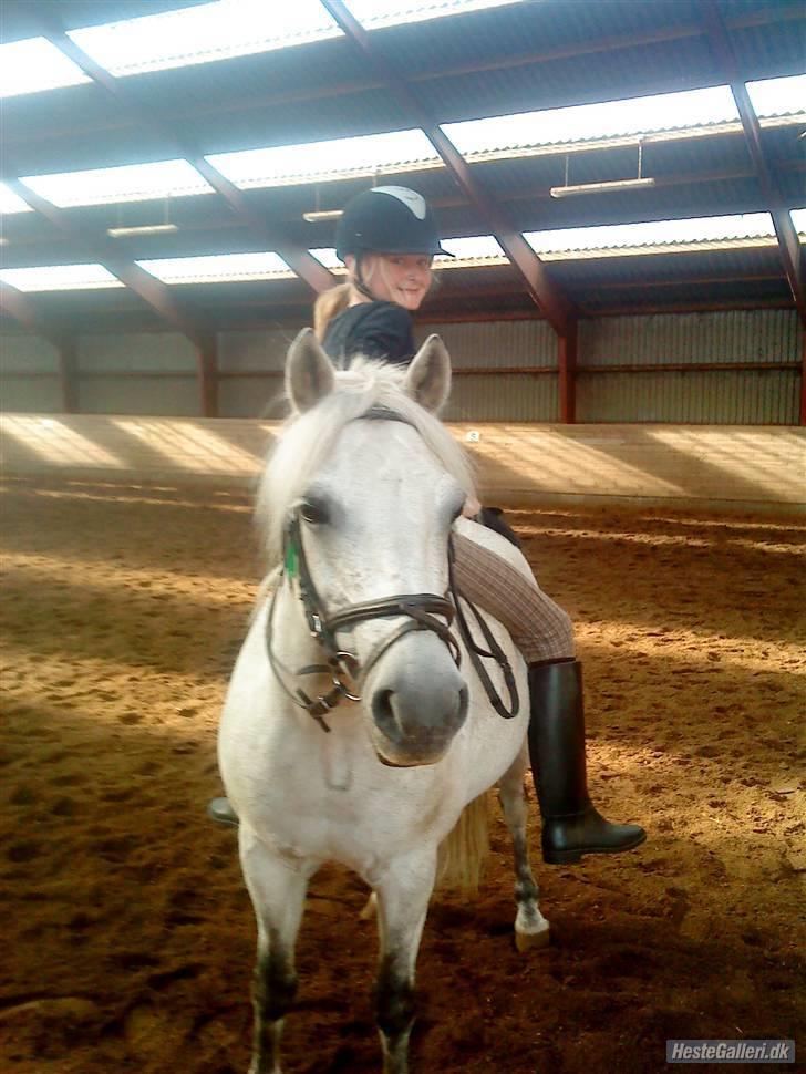 Anden særlig race Nunu - Hva er det for en tumpe der sidder omvendt på min ryg? billede 9