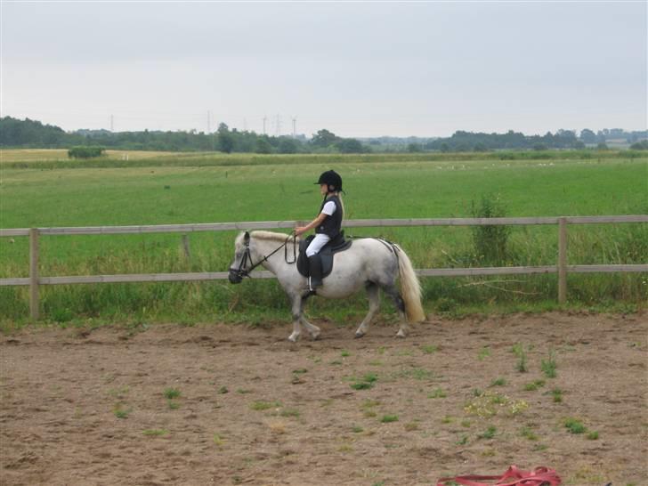 Shetlænder Tilde - Rider på Tilde da jeg var 5 år...! billede 4