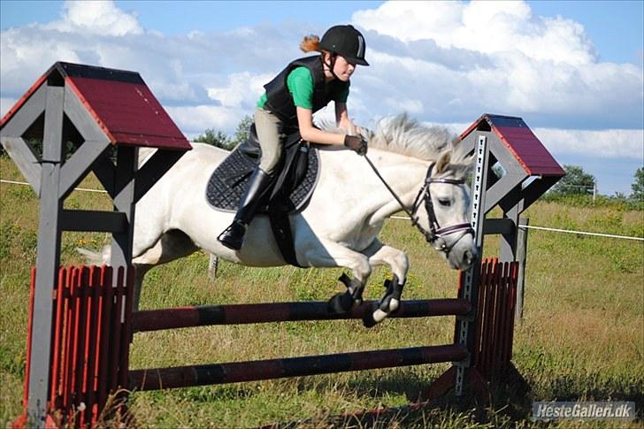 Anden særlig race Perle<3 R.I.P. - Hooooooooooop!!! billede 6