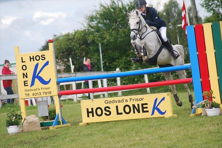 Anden særlig race Ariel - *NYT* gode forben måske :) billede 16