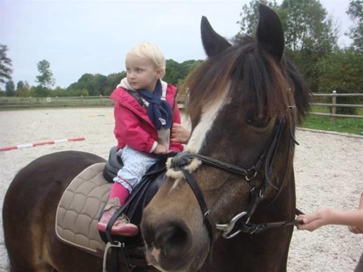 Anden særlig race Flico du pont  - flico og min lille kusine ;) <3 billede 16