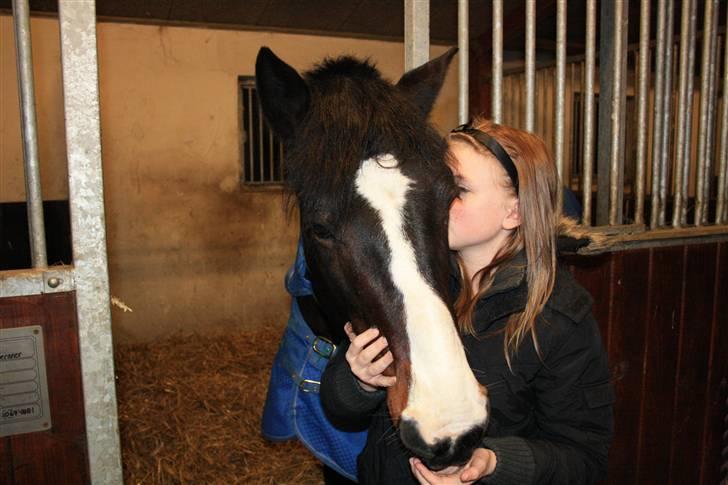 Anden særlig race Bruno Bamsen. (y) - var lige nede og sige godnat til dig! du betyder meget! billede 2