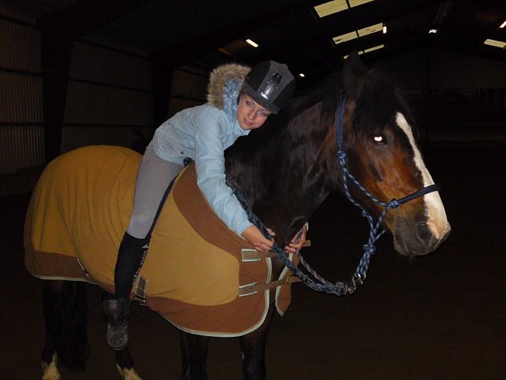 Anden særlig race Bruno Bamsen. (y) - mig og bruno rider for første gang med reb grime. det gik rigtig godt! :* billede 5