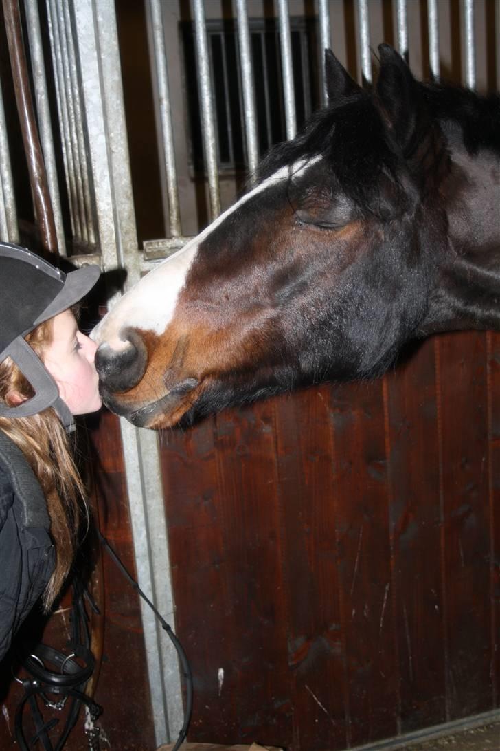 Anden særlig race Bruno Bamsen. (y) - min bedste ven! du betyder så meget!:* billede 6