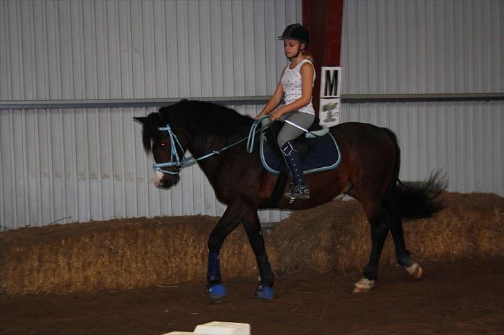 Anden særlig race Bruno Bamsen. (y) - mig og bruno rider for anden gang i vores nye springsadel .. :´D billede 7