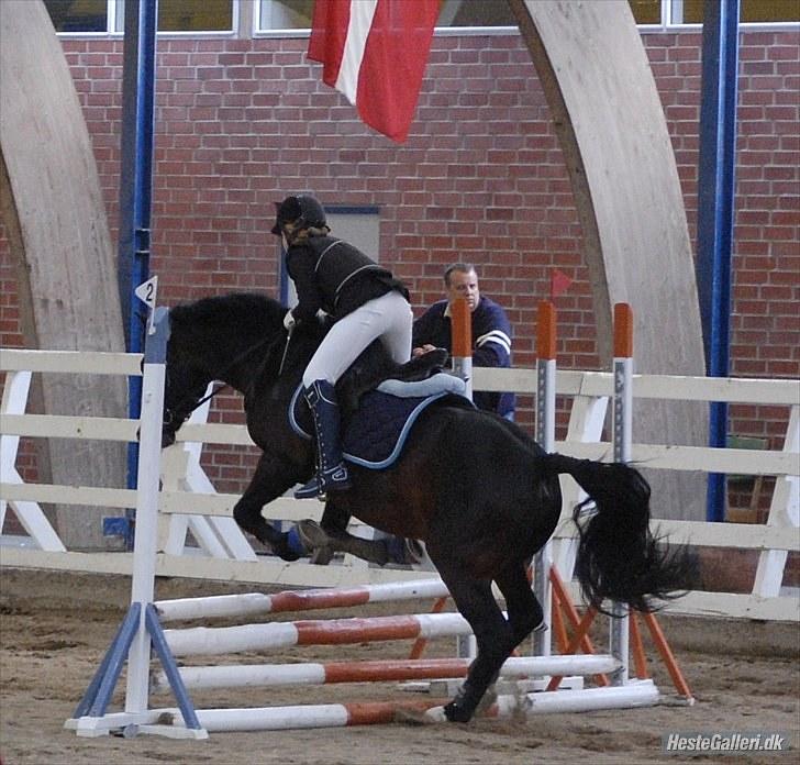 Anden særlig race Bruno Bamsen. (y) - stævne på bamsen!<3 fotograf : MDfoto billede 8
