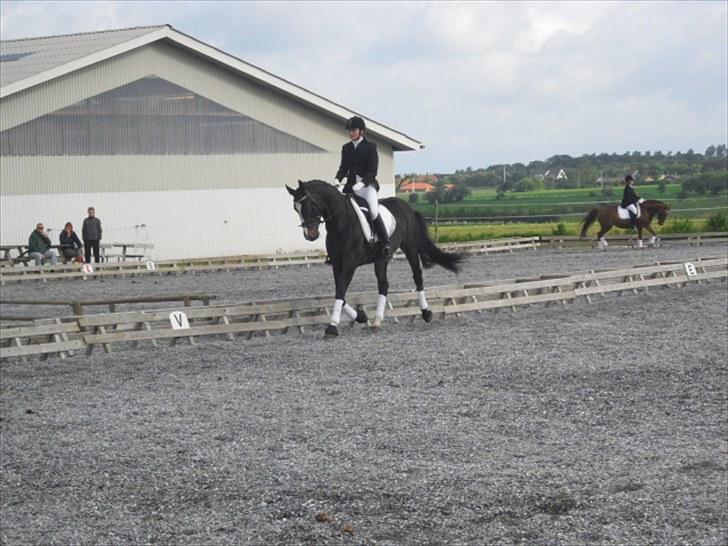 Dansk Varmblod Chi-Chi - stævne hjemme i ROAR :) billede 9