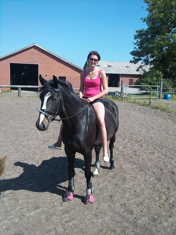 Dansk Varmblod Chi-Chi - HYGGEDAG MED LILLESØS, CILLE OG BARBIE <3 billede 10