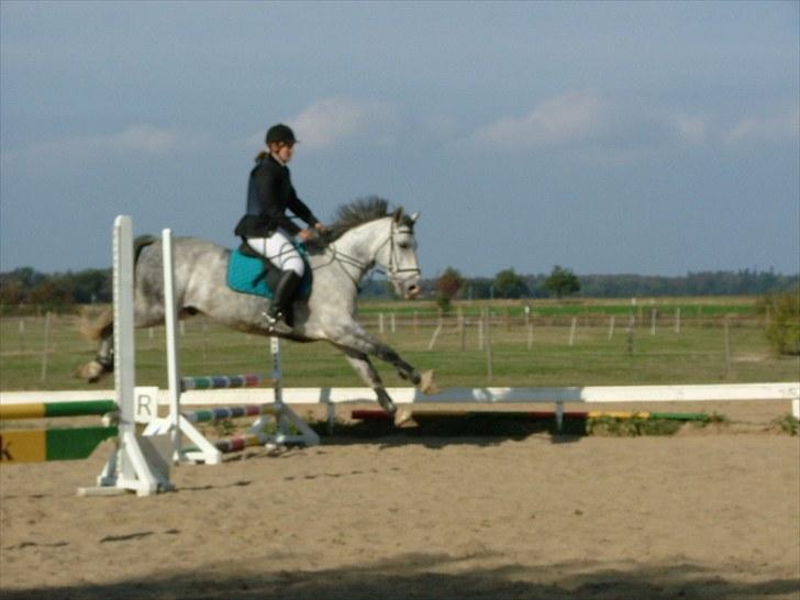 Anden særlig race Strauss R.I.P 20/1-2011 - Stævne i RKL, lidt sløret. :b <3 Foto: far<3 billede 15