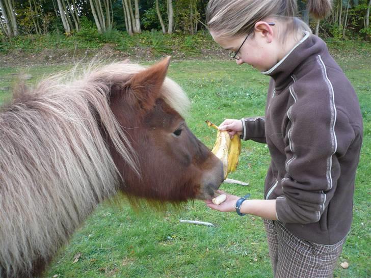 Anden særlig race Pjok - Lidt banan spisning.. Han ville ikke spise det ;-) billede 4