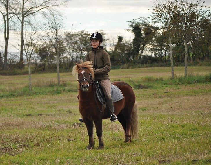 Anden særlig race Pjok - Mig og min smukke pony :D okt 2010  billede 7