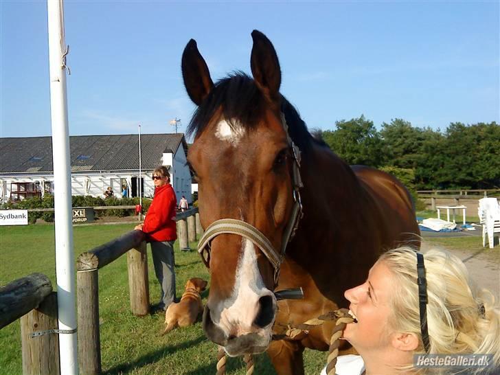 Holstener Kiss Me Quick - Solgt billede 2