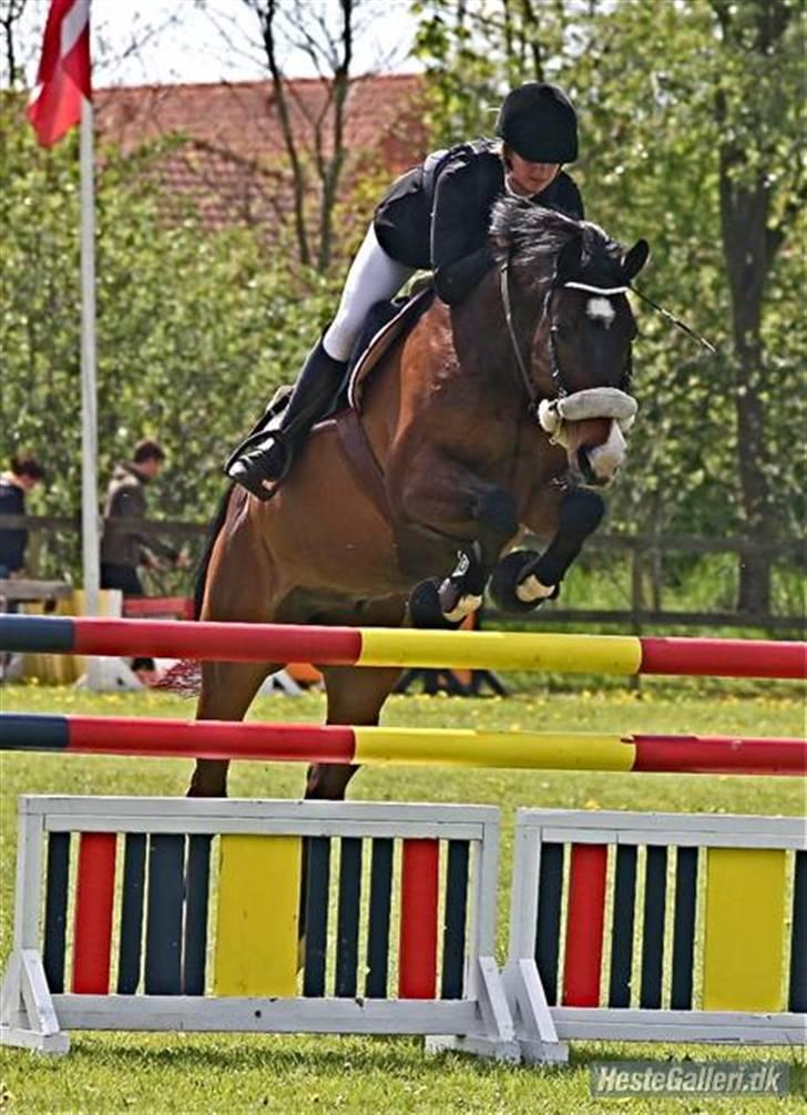 Holstener Kiss Me Quick - Solgt billede 4