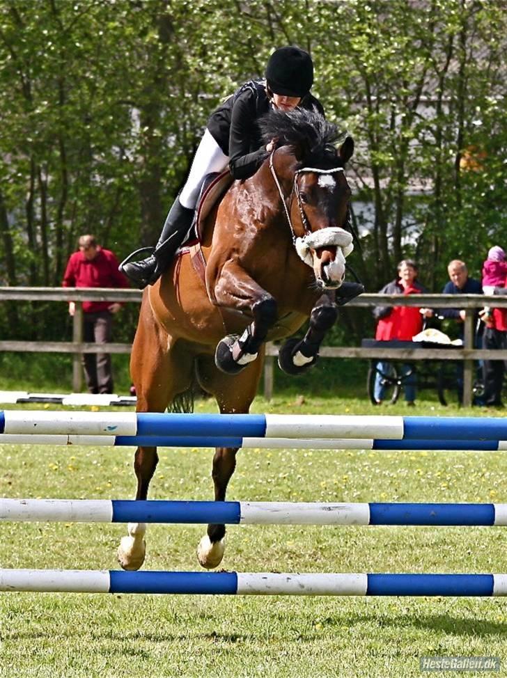 Holstener Kiss Me Quick - Solgt billede 5