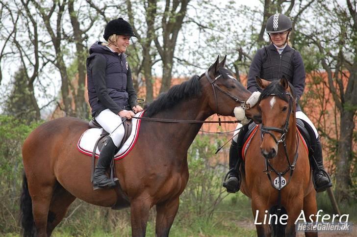 Holstener Kiss Me Quick - Solgt billede 9