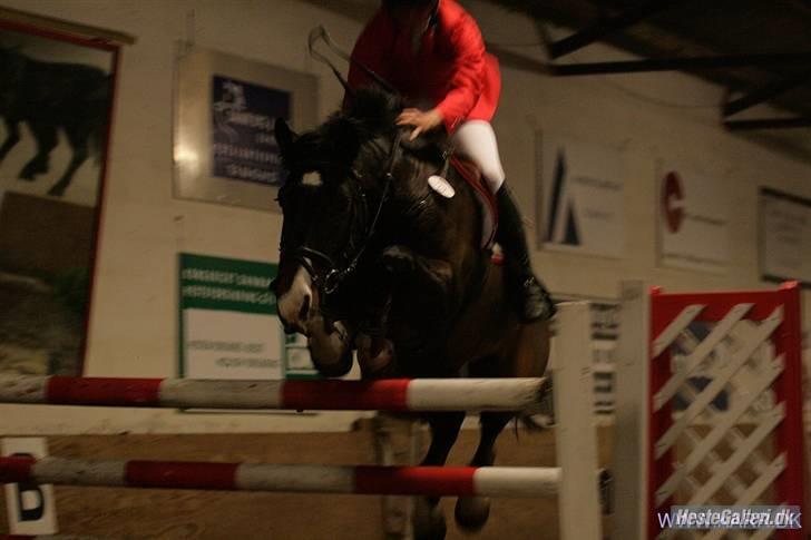 Holstener Kiss Me Quick - Solgt billede 13