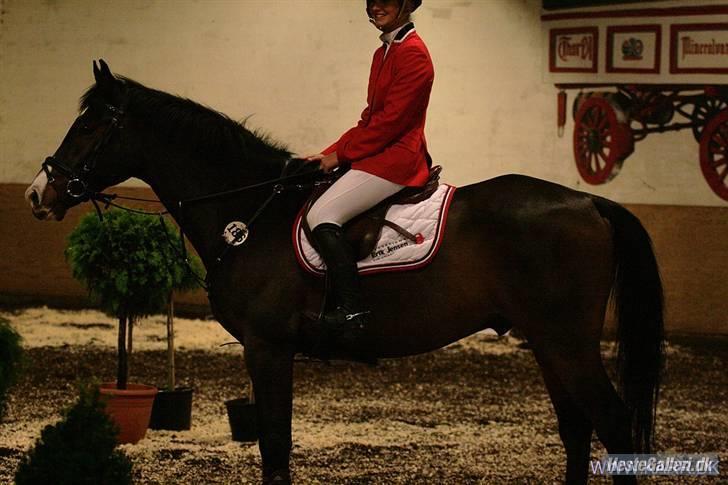 Holstener Kiss Me Quick - Solgt billede 14