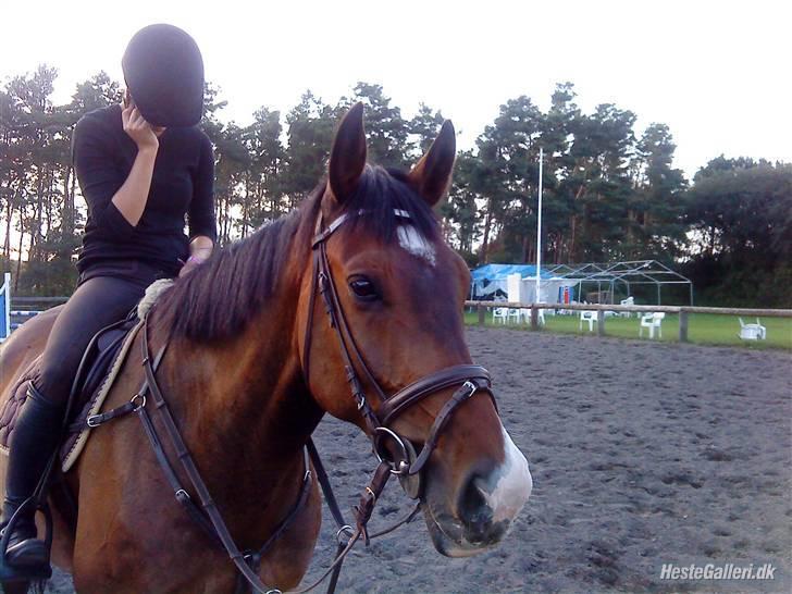 Holstener Kiss Me Quick - Solgt billede 17