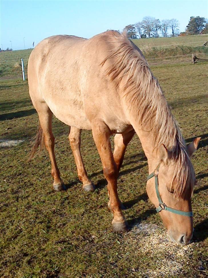 Anden særlig race Freja!! <3 Du elsket.. - Søde Freja! <3 billede 18