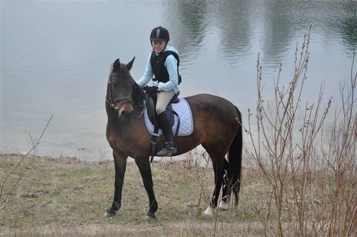 Anden særlig race  Sussi - Velkommen [11.04.2010, Chris] billede 14