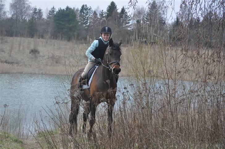 Anden særlig race  Sussi billede 15