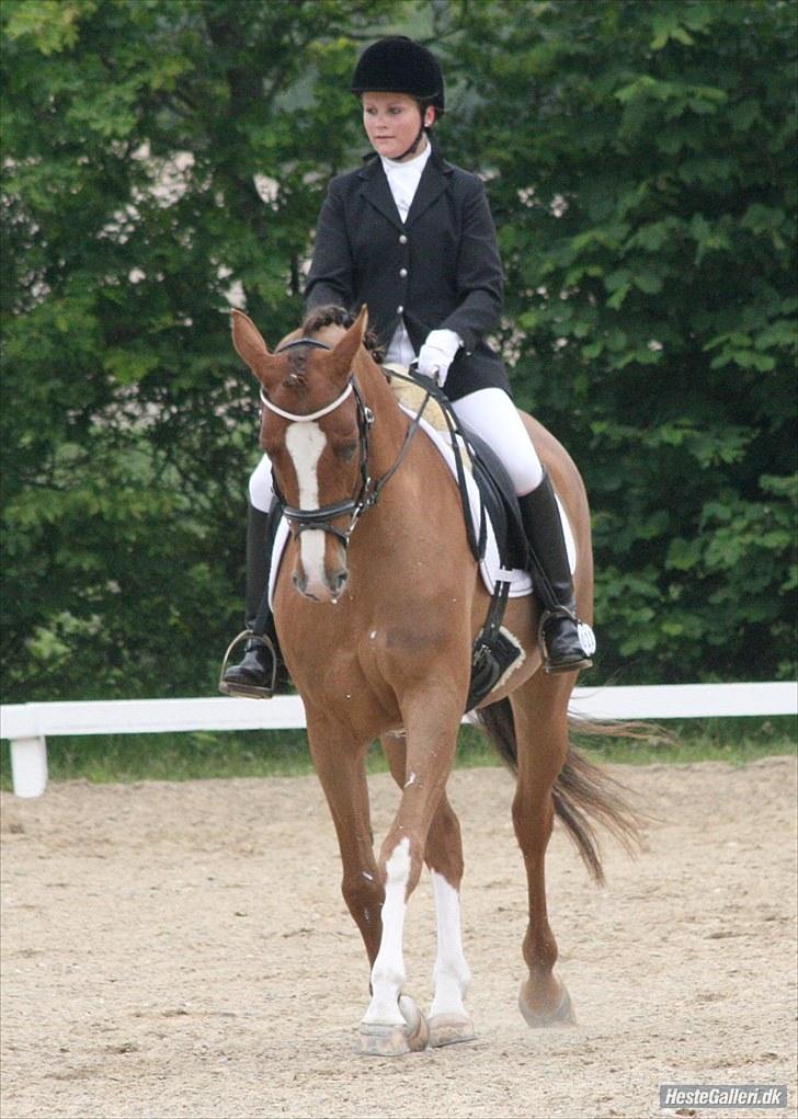 Dansk Varmblod Fiona-Wi - Første distrektstævne, LA1. Billedet er taget af Marianne Ejby billede 1