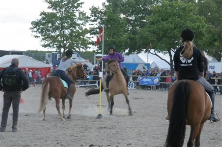 Islænder Embla fra Hessellund - Mig og Embla DM i Ponygames(4H) Roskilde dyrskue 09 (: billede 16