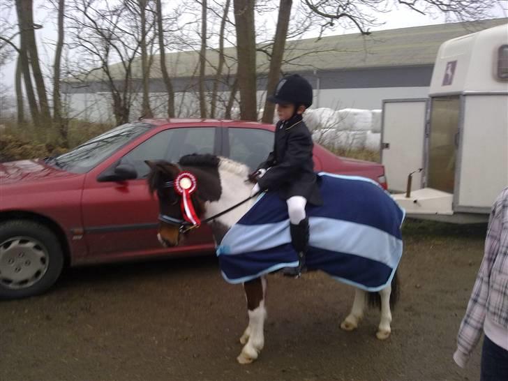 Anden særlig race Stella Nova (solgt) - Så er det allerførste stævne veloverstået og den første roset i hus...endda en 1.plads billede 16