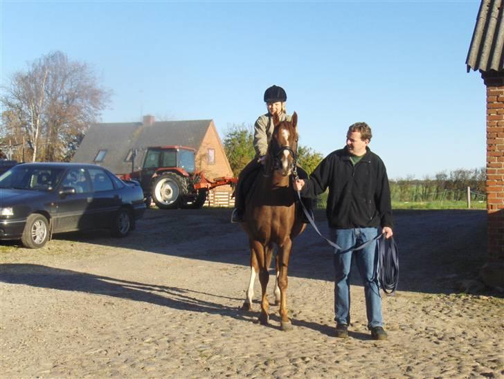 DSP Glerupgaard´s Sanita - min første ride tur på sanita  billede 11