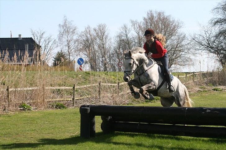 Anden særlig race Loughnatousa Inksy - terræntræning :) billede 14