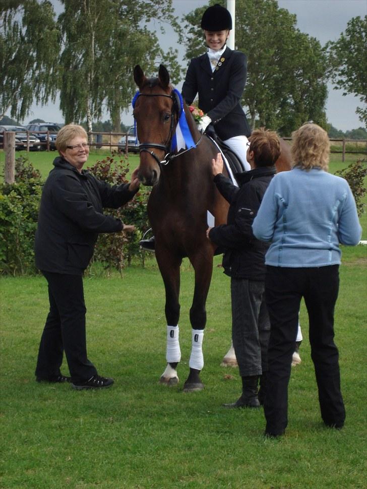 Dansk Varmblod Lillemarkens Addi billede 4