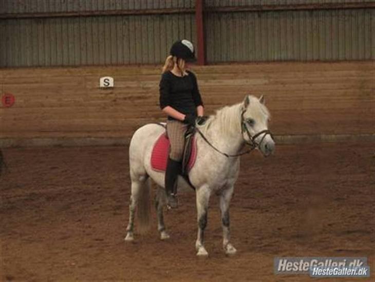 {{currentPhoto.altText}} billede {{currentPhoto.number}}