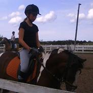 Pinto Bontje (gammel part)<33