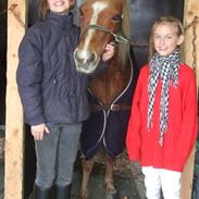 Gotlandsruss Nora R.I.P † (Aflivet) †