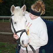 Anden særlig race Maicha (passer)