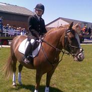 Anden særlig race Tøsen Anastacia Little<3