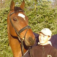 Trakehner Don Philidor **RIP**