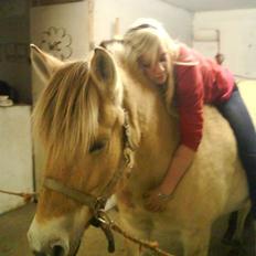 Fjordhest Freja (Smukke) Solgt!