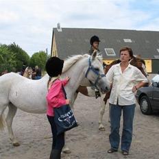 Anden særlig race Misty  <3