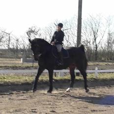 Oldenborg Buller