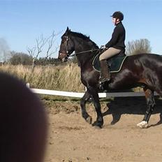 Oldenborg Buller
