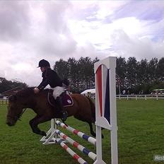 Anden særlig race Passo<3 i;