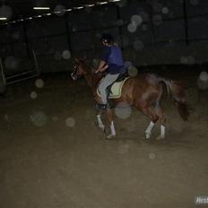 Anden særlig race jupiter(G.Lpart<3)juppi<3