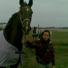 Anden særlig race Mitzi *R.I.P* 29/6 2010